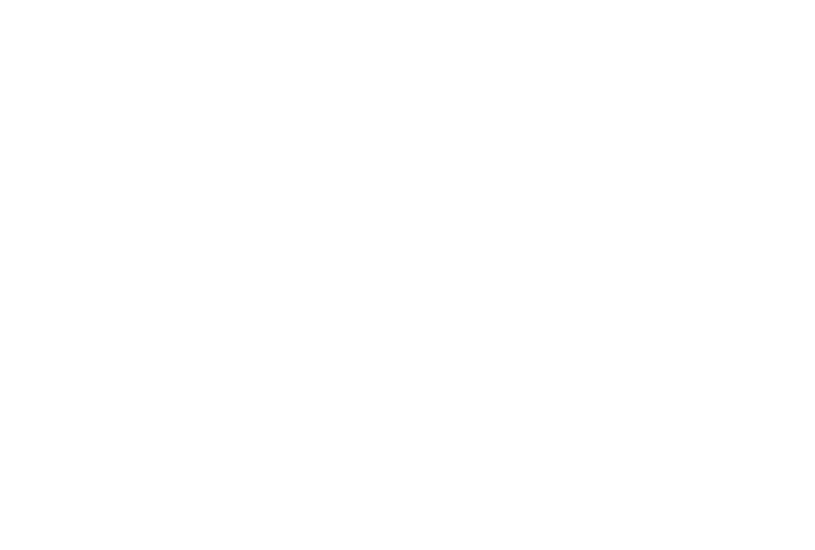 Pierce Maritime